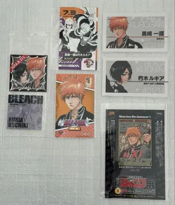 BLEACH 쿠로사키 이치고 후목 루키아