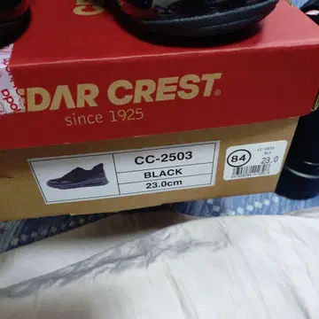 Cedar Crest CC-2503 블랙 23.0cm