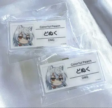 컬러풀 피치 카라피치 파라다이스 2025 도누쿠상