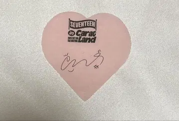 SEVENTEEN 세부치 CARATLAND 케렌 낙하물 원우 하트