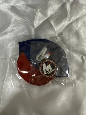 하세가와 마코토 멘프로