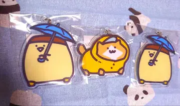 문구와 함께 아크릴 키링 3개 세트