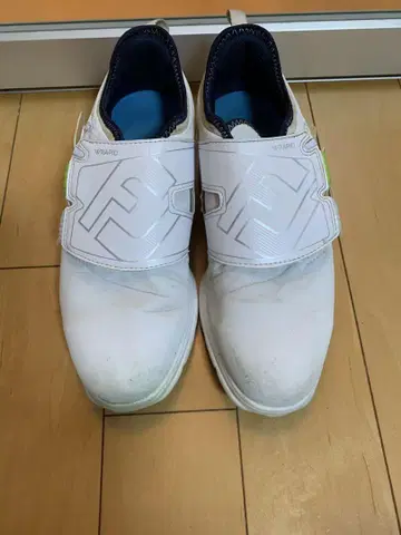 풋조이 스파이크리스 골프화
