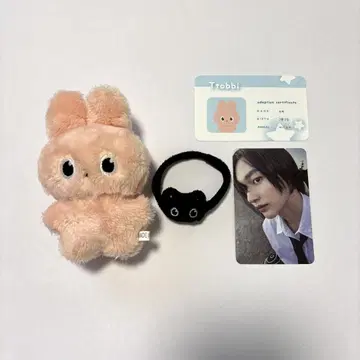 RIIZE 원빈 마스터 봉제 인형