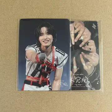 JO1 사토 케이코 미완성 포토 카드 세트