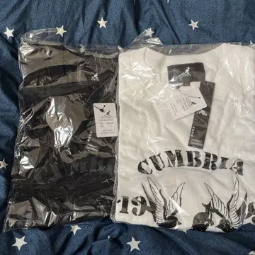 이토 켄타로 CUMBRIA 1997 티셔츠 L 사이즈 화이트 블랙