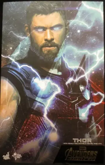 HOTTOYS 영화 명작 토르 (MMS474) MMS474