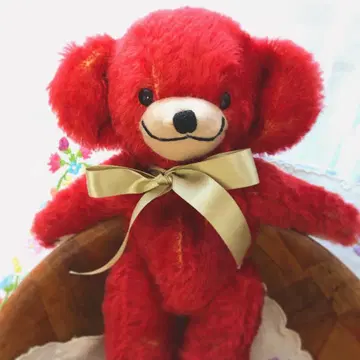 메리소트 위트니 치키 빈