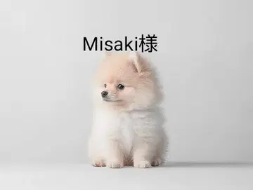 핸드메이드(Misaki 님)