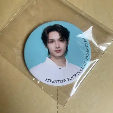 seventeen 준 캔뱃지 follow again