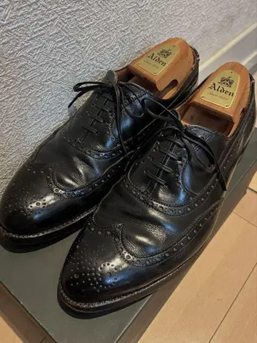 알든 블랙 윙 칩 카프 9 1/2