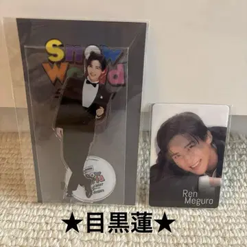 Snow Man SnowWorld 아크릴 스탠드 몰래보기 카드 메구로 렌