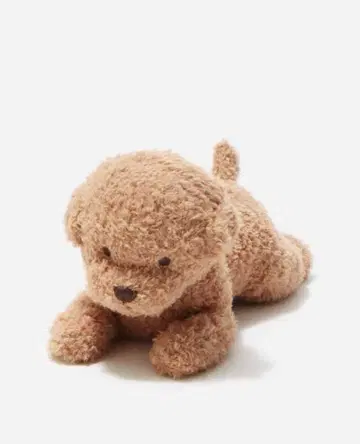 gelato pique 토이 푸들 봉제 인형 택 포함