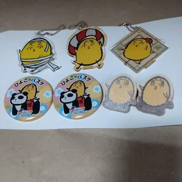 히요 버스 다카오
