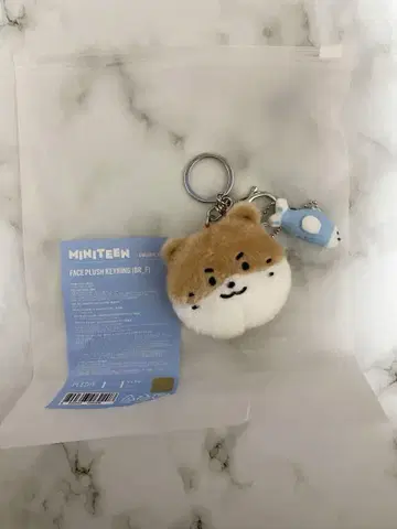 SEVENTEEN 디노 MINITEEN 팝업 키링