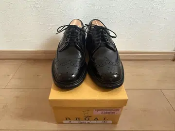 REGAL 2589N 블랙 윙 칩 24cm