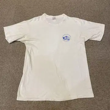 올드 티셔츠 FRUIT OF THE LOOM 90s 미국제 L