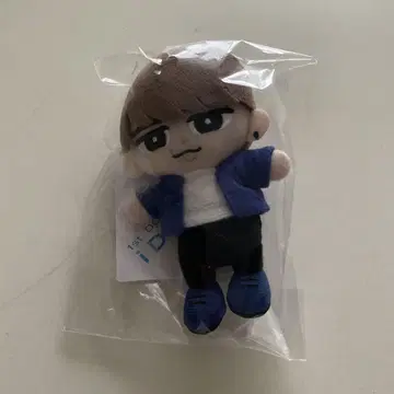 스노 칠 누이 와타나베 쇼타
