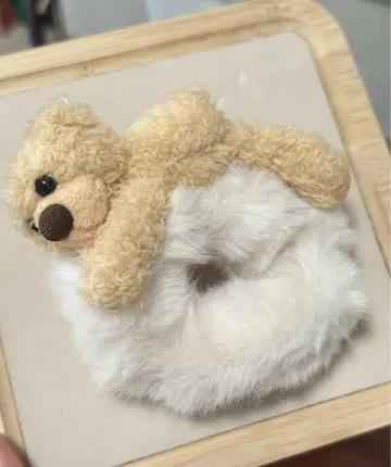 13DE MARZO Doozoo Hair Tie (곰 머리끈)