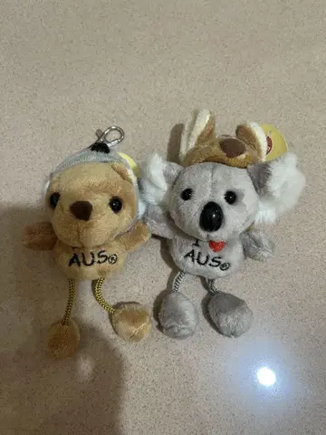코알라와 곰 봉제 인형 세트