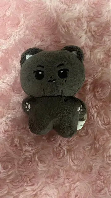 ENHYPEN 제이 봉제 인형