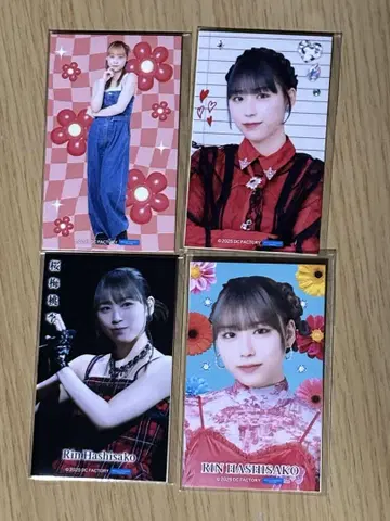 모바 가챠 안주루무 하시사코