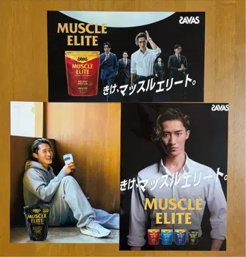 보강 옵션 포함, 3장 세트, 이와모토 테루 씨 포스터