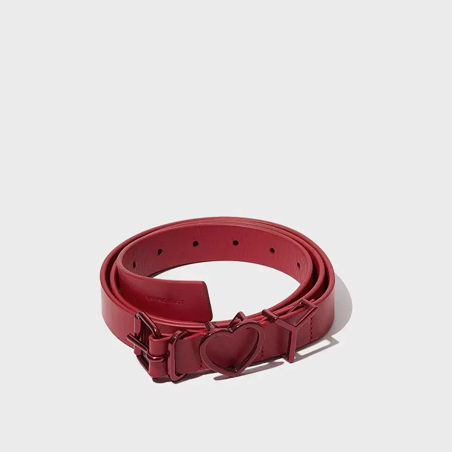 Y/Project belt エンブロイダリーベルト Y/Project belt エンブロイダリーベルト