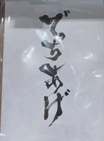 영화 미독 새상품 데치아게 팜플렛 아야노 고
