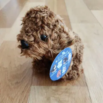 택 포함 새상품 토이 푸들 REGALO 레가로 리얼 도그 컬렉션