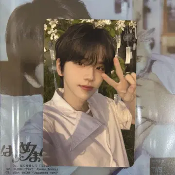 시뉴 타워 레코드 라키도로 [ 안녕하세요 ] TWS