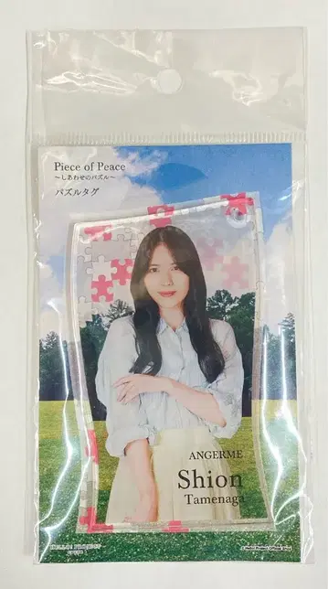 안주루무 Piece of Peace 타메나가 시온 퍼즐 택