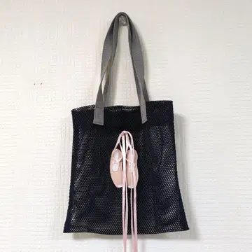 ludlow 메쉬 토트백 발레 슈즈 포함