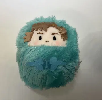 젠포지 이사쿠 싸개 타피누이
