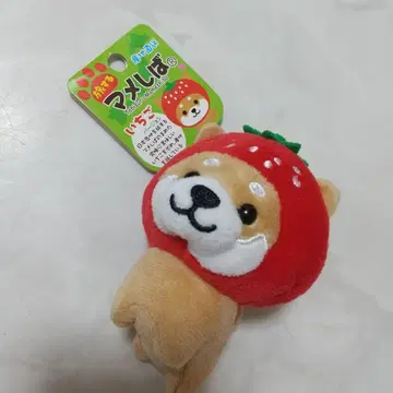 새상품 여행하는 마메시바 산지 직송 딸기 버전 마메타 마스코트