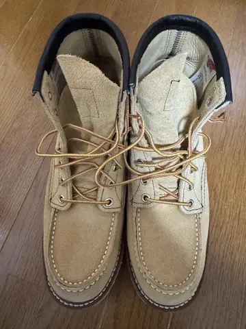 Red Wing 레드윙 아이리쉬 세터