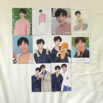 SEVENTEEN 세부치 조슈아 랜트레 하루 컴플리트 세트