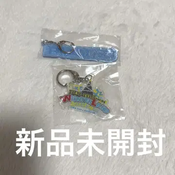 BUDDiiS WiiNTERLAND 아크릴 키홀더 아크키