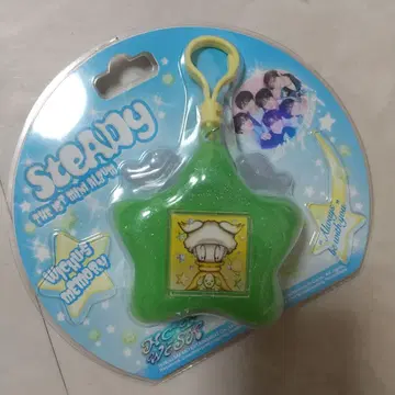 새상품 NCTWISH steady 키링 료