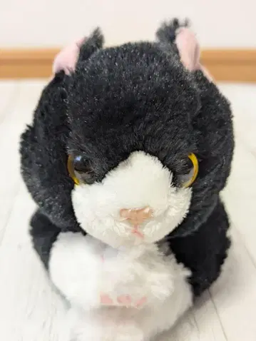 무릎 고양이 S 하치와레 봉제 인형 고양이 완구 치유 선 레몬