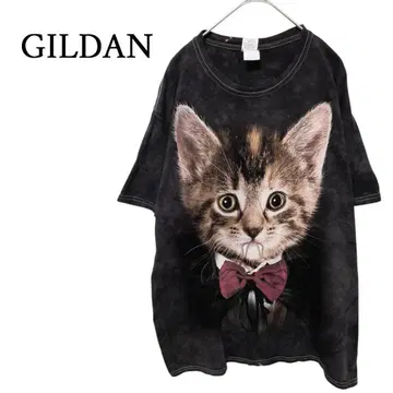 GILDAN 고양이 드라큘라 타이다이 패러디 티셔츠 C-4888