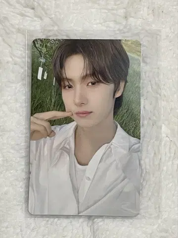 TWS 용제 트레이딩 카드