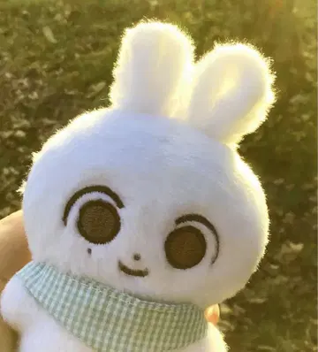 SEVENTEEN 정한 봉제인형 인형 10cm
