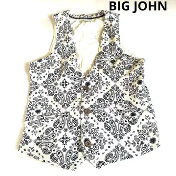 레어 BIG JOHN 빅존 인터내셔널 베스트 페이즐리