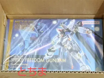 메탈로봇혼 스트라이크 프리덤 건담 [Re:Coordinate]