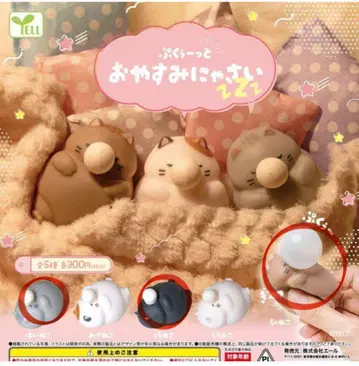 잘 자요냥 3개 세트