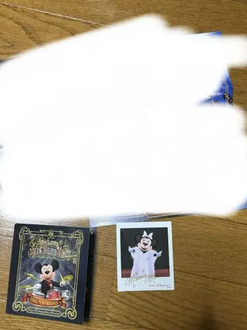 빅뱅 비트 참 미니 사진과 대지