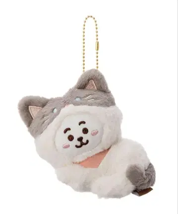 BTS 봉제 인형 마스코트(CAT DAY) RJ