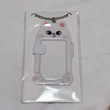 StrayKids SKZOO 포토 카드 키링 지니 레트 현진