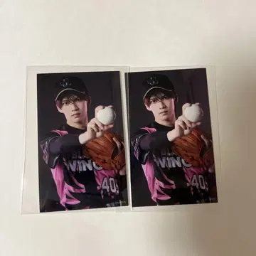 타무라 쇼고 하프 브로마이드